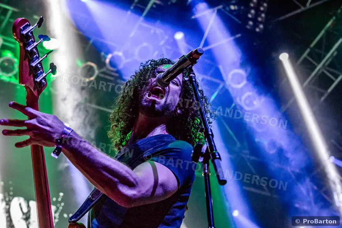 Artist performing live in concert