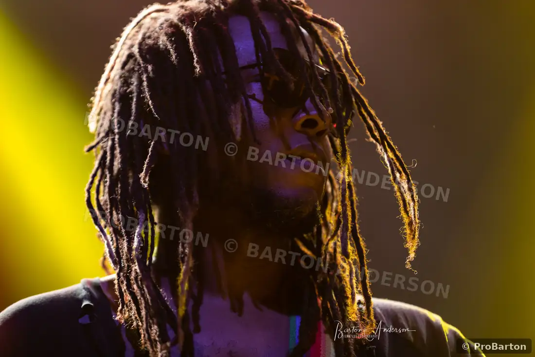 Live artist portrait from the stage