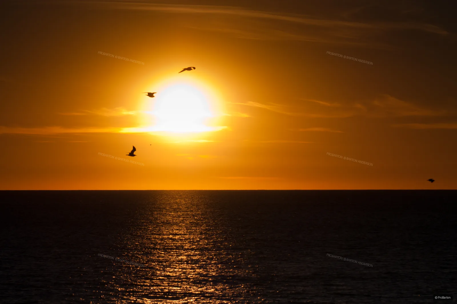 Fine art photograph by ProBarton